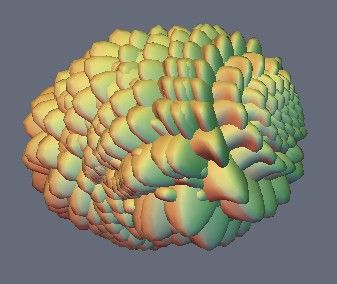 cerveau.jpg