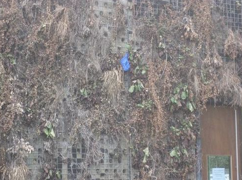 Failed green wall 3.png