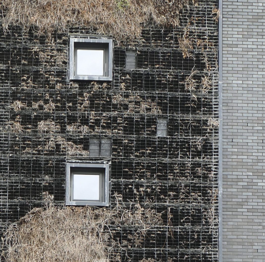 Failed green wall 1.png