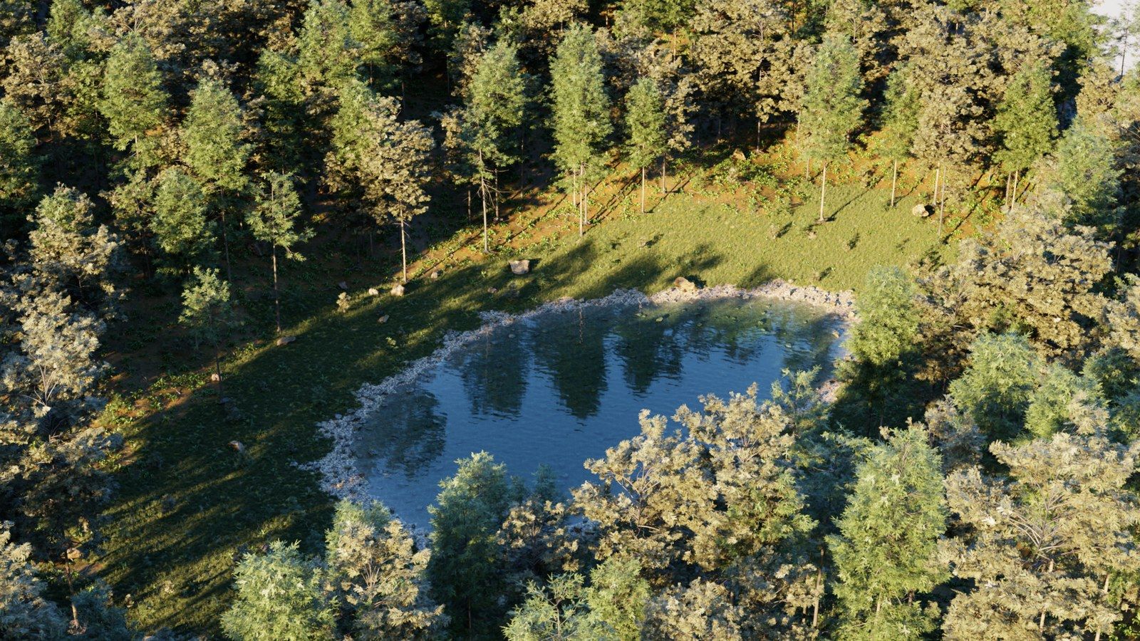 Aerial view of a scattered forest