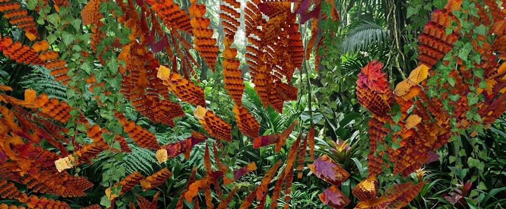 vegetation.jpg