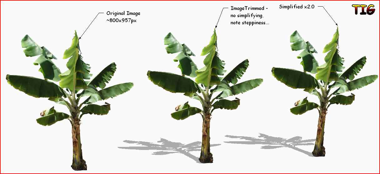 banana_tree_trimmed.PNG