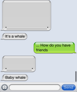 whale.png