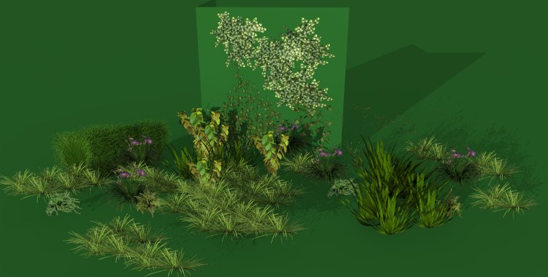 shrubs2.jpg