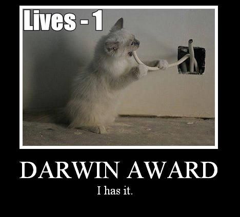 Darwin_Award.jpg