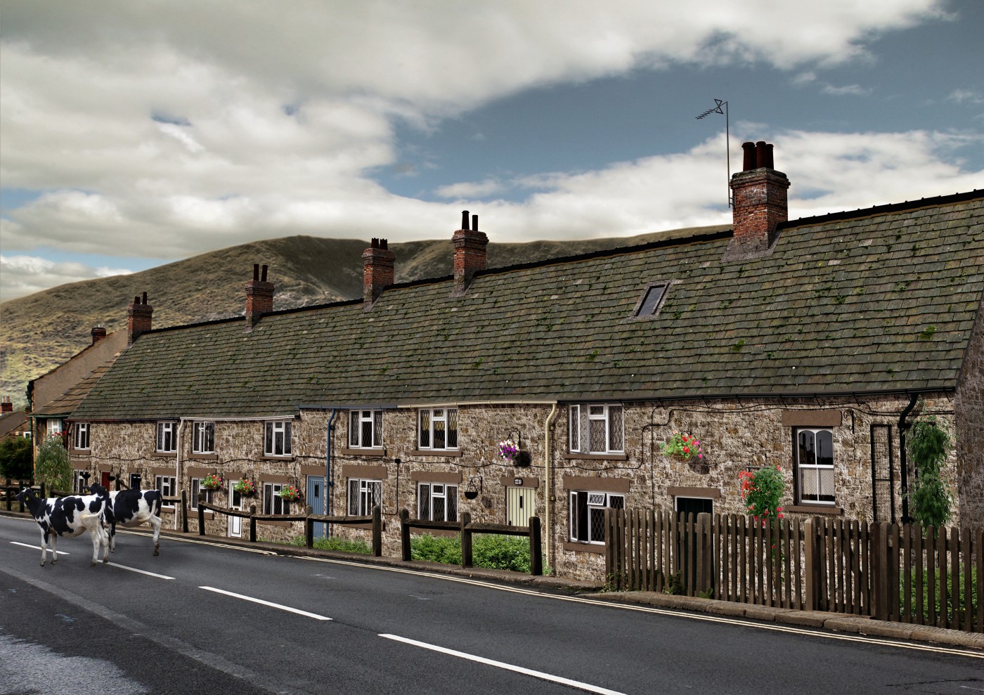 Cumbrian Cottages with Cows.jpg