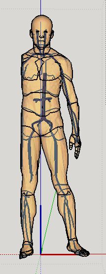 front_view_skin_on.jpg