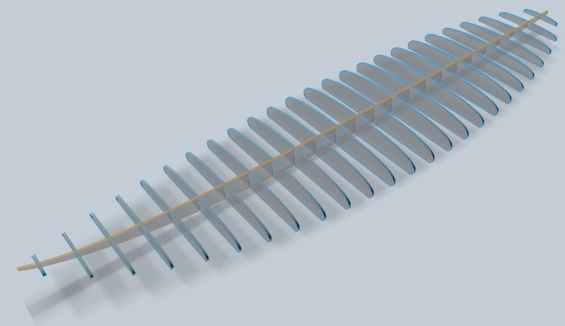 25 Rib x 1 Spine Sliced STL (original or NetFabb processed file) Using 123D Make