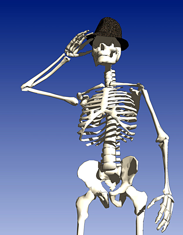 Skeleton1.jpg