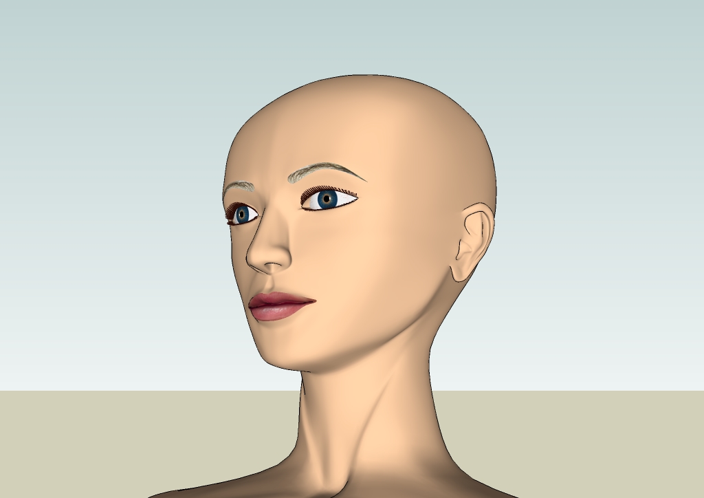 Human head by EliseiDesign 11.jpg