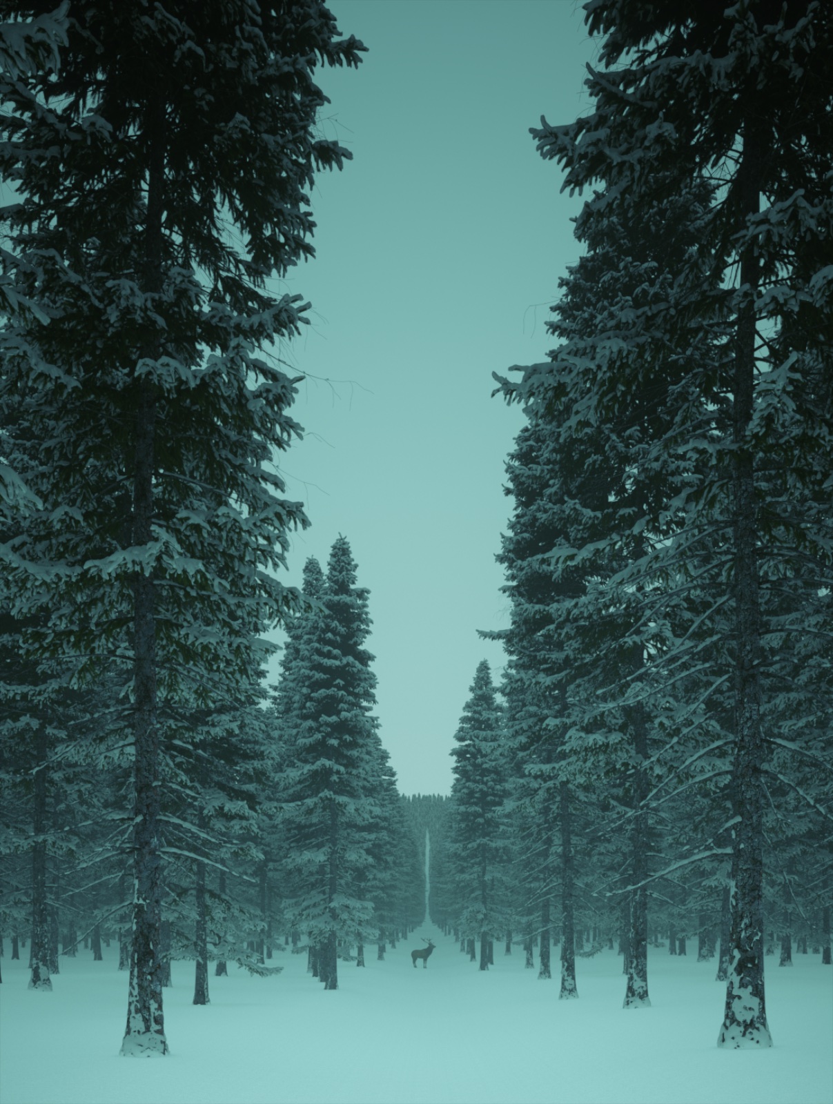 FROST FOREST.jpg