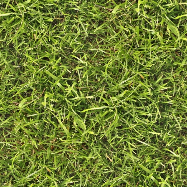 seamless-grass.jpg