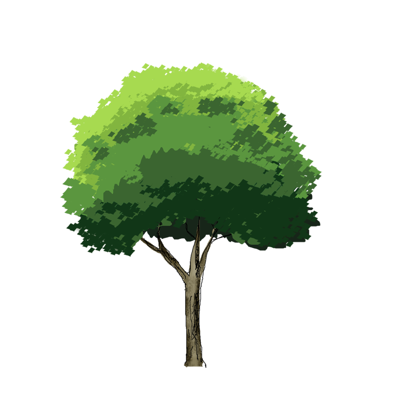 1031tree.png