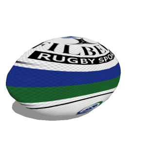 rugbyball_thumb.jpg