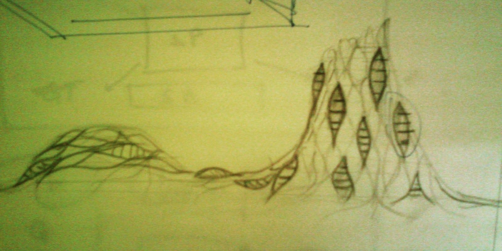 conceptual sketch