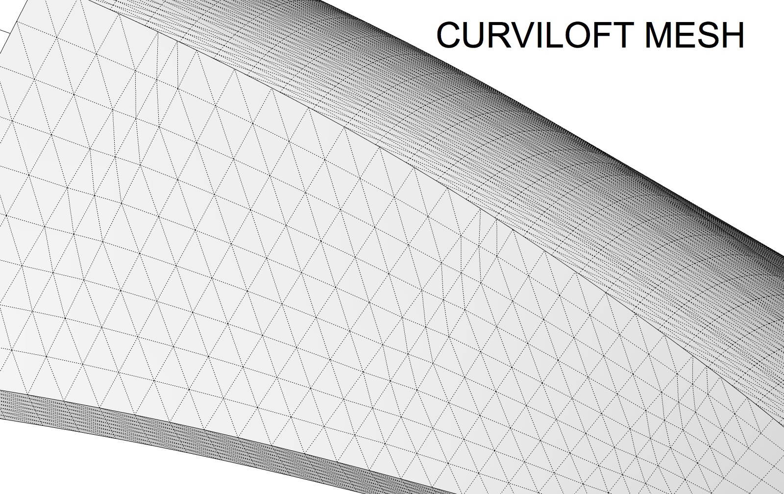 curviloft mesh2.jpg