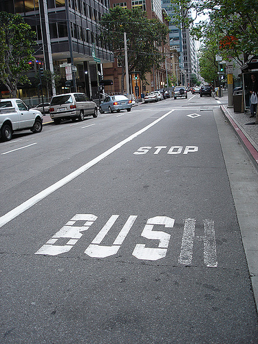 stop bush.jpg