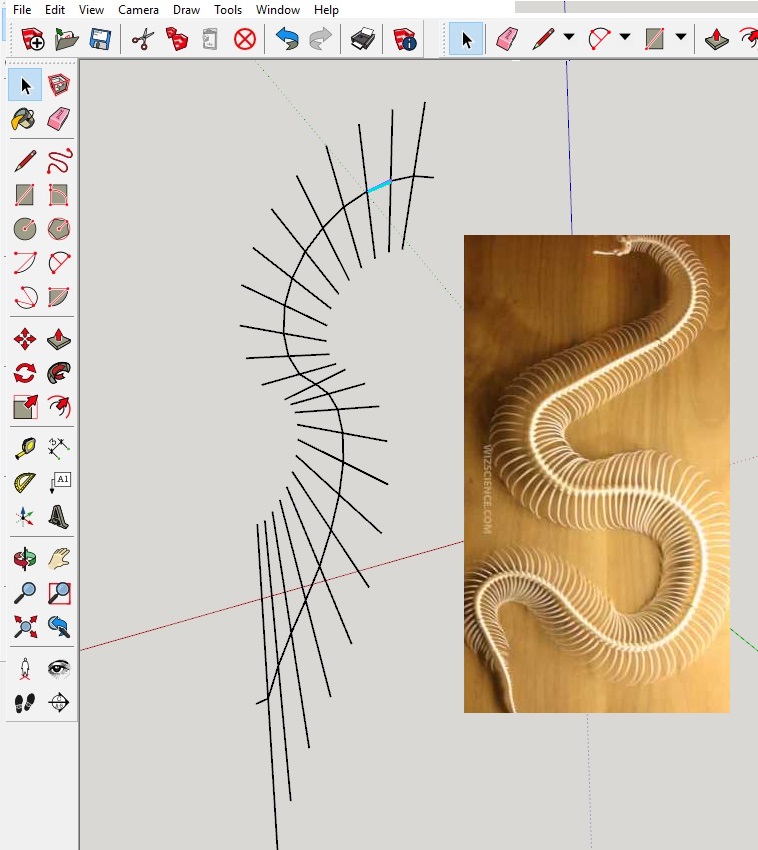 Reference image. Snake-like skeleton structure.