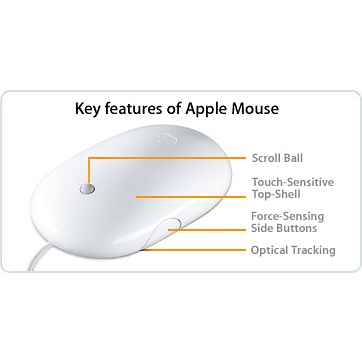 Apple Mouse.jpeg