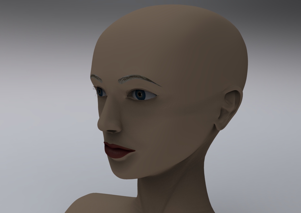 Human head by EliseiDesign 12.688.jpg