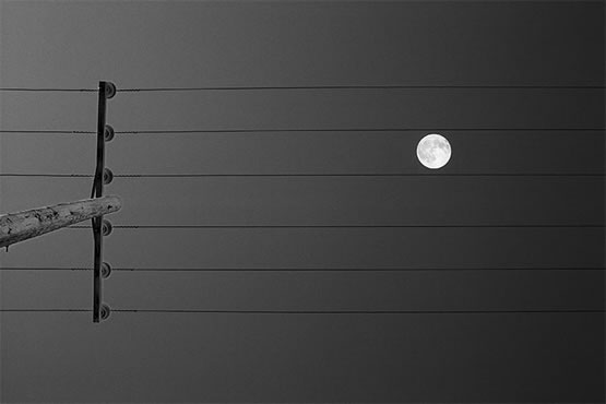 musical-moon-438.jpg