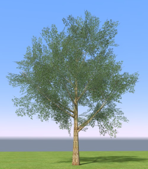 treeMaker02.jpg
