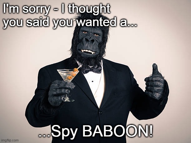 Spy baboon.jpg