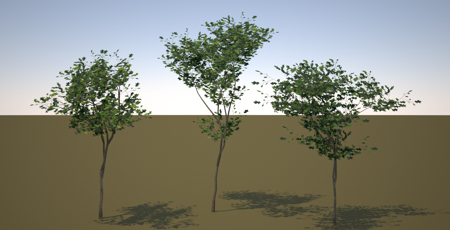2.5Tree1.png