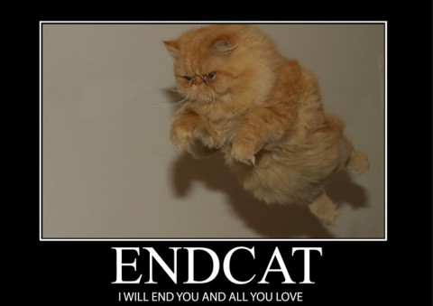End Cat.jpg