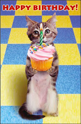 birthdaycat.jpg