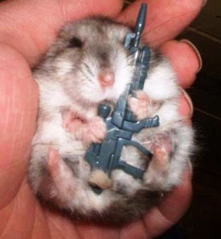 killer hamster.jpg