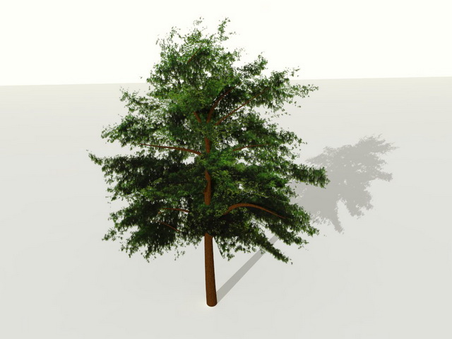 Drzewo2_2.5D.jpg