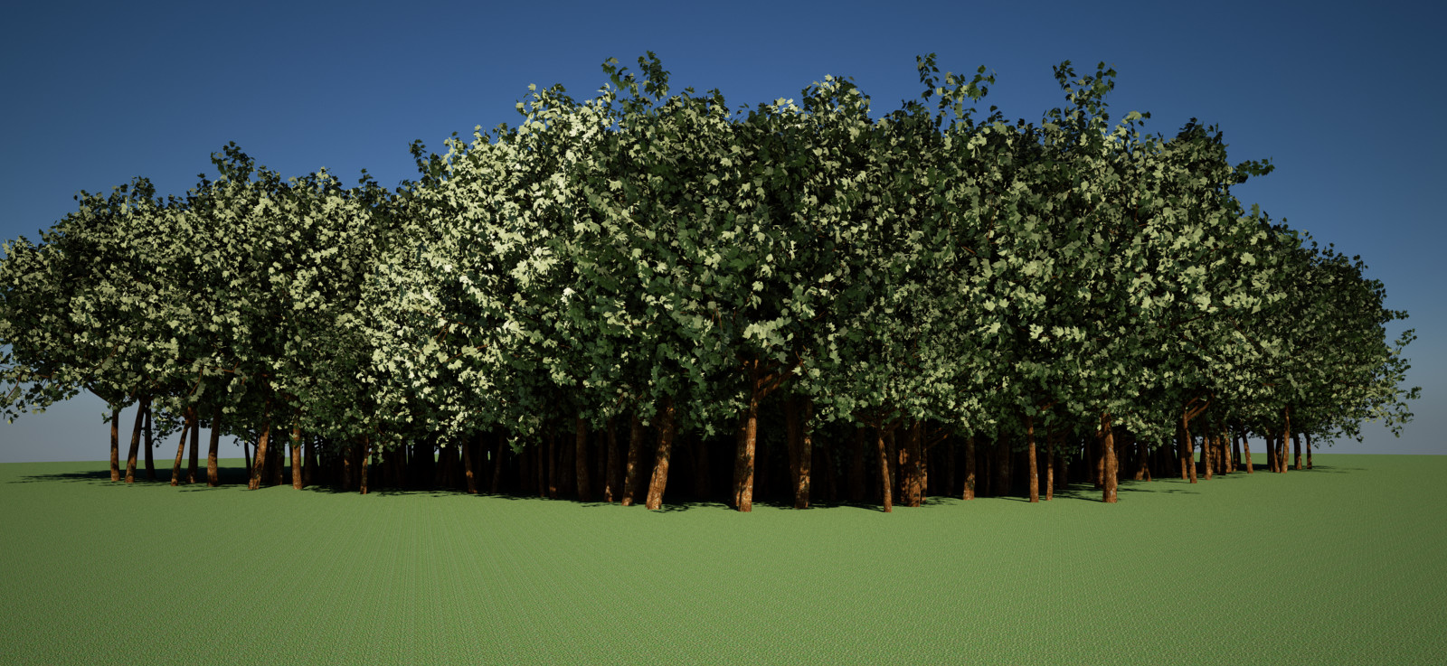 cotty_obj_skindigo_trees_01.jpg