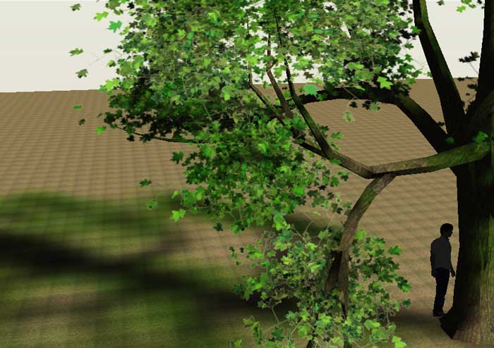 render-tree-oak-lightup.jpg