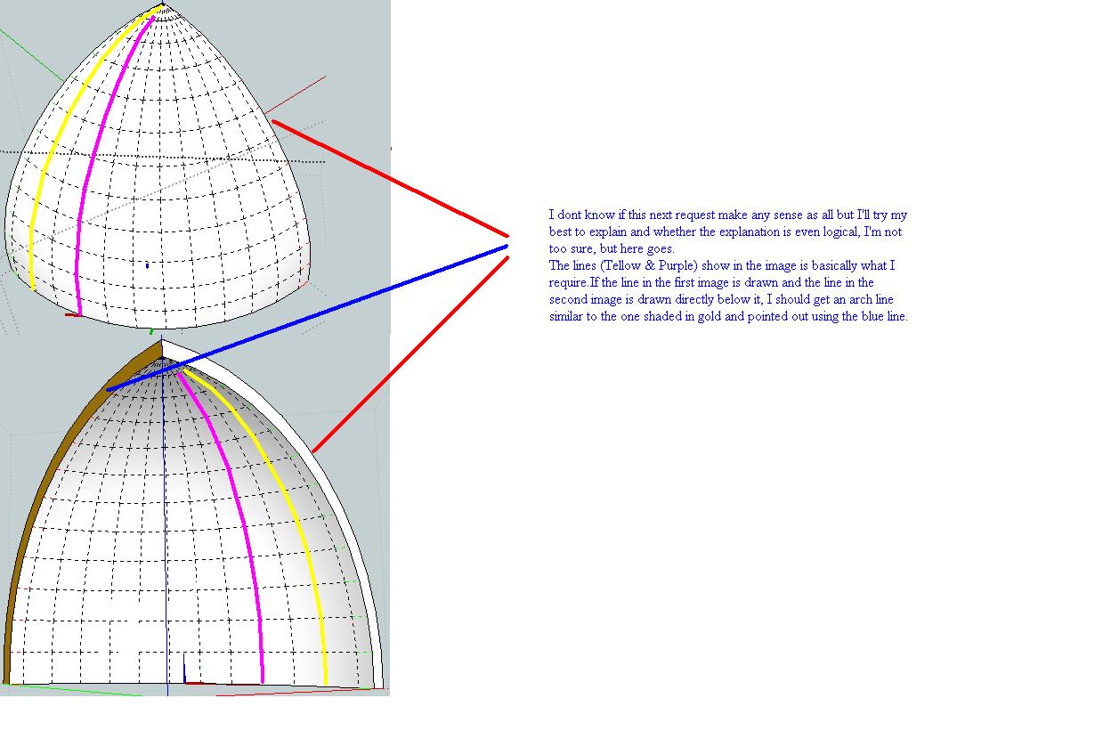 Front--Back----Scale.JPG