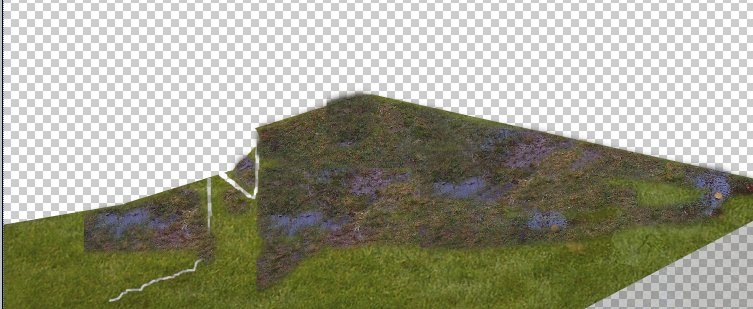 grass layer 2 overlaid