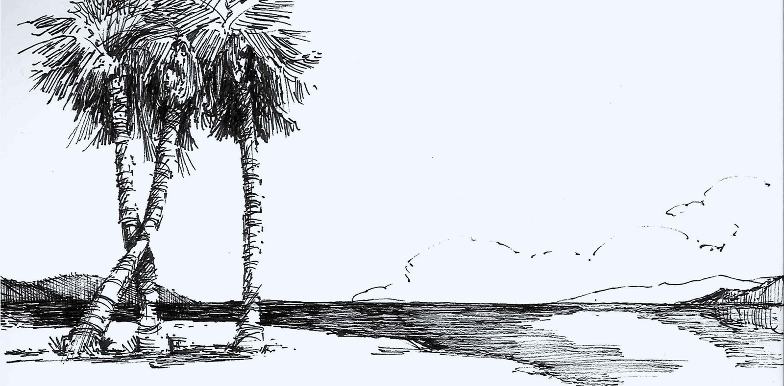 palm trees beach_sm.jpg
