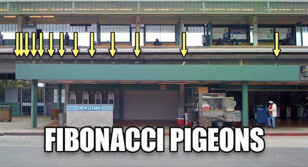 fibonacci pigeons.jpg