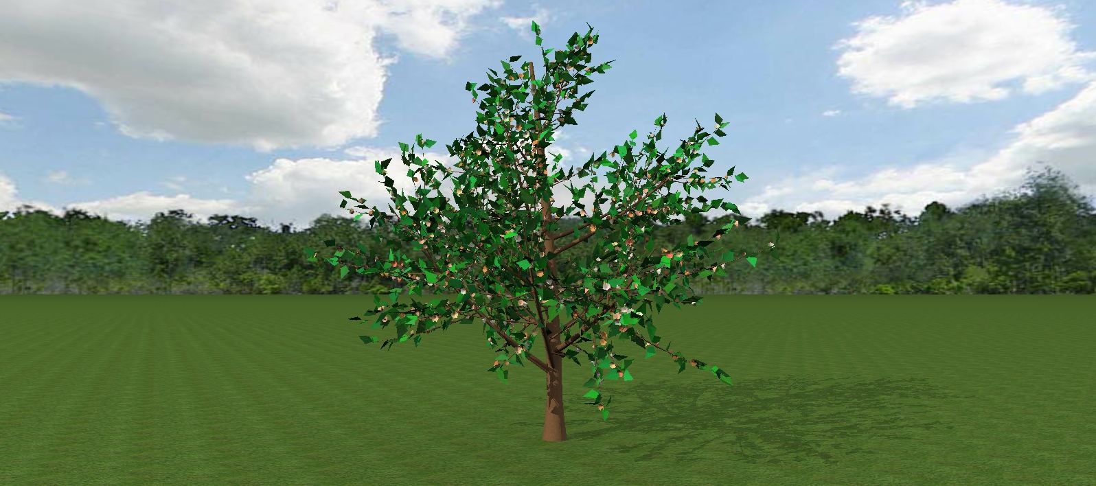 3d tree.jpg