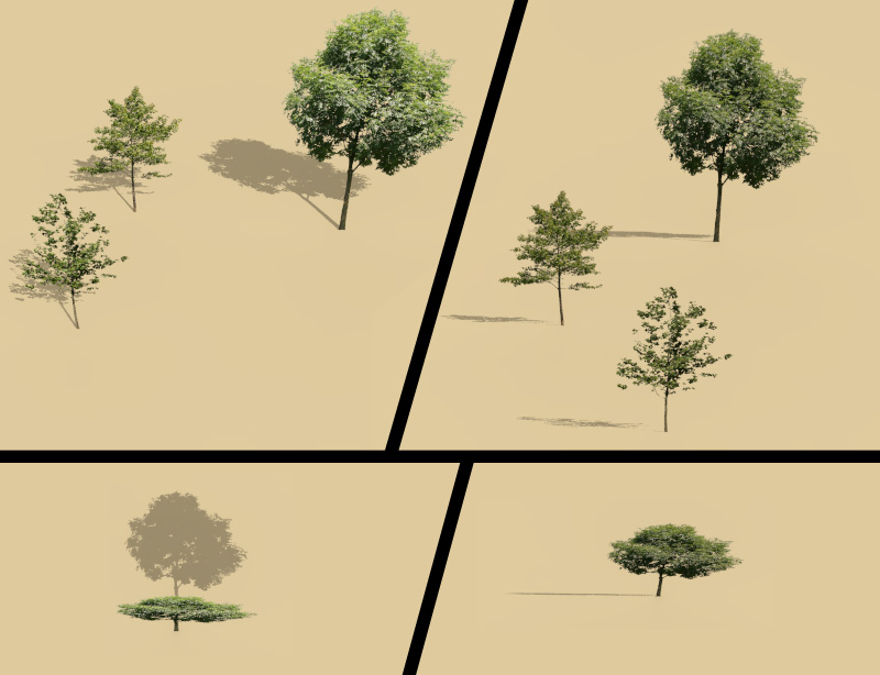 Arbres 2D et ombres.jpg