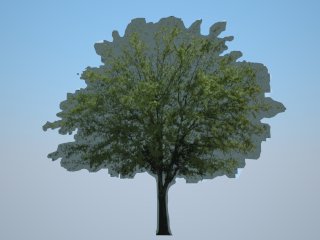 2D Tree rendered in Vray
