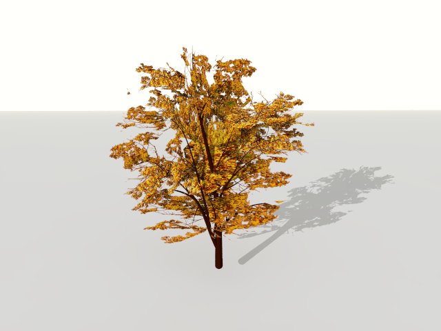 Drzewo3_2.5D.jpg