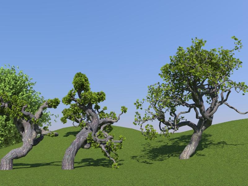 Blender Lsystem Trees.JPG