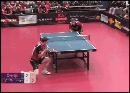 Ping_pong_table_tenniswin.gif