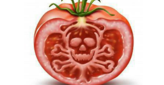 monsanto-tomato.jpg