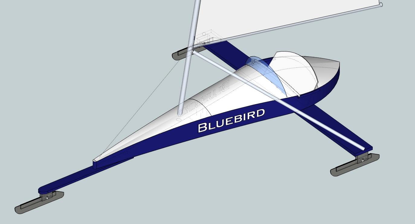 Bluebird 0.83.jpg