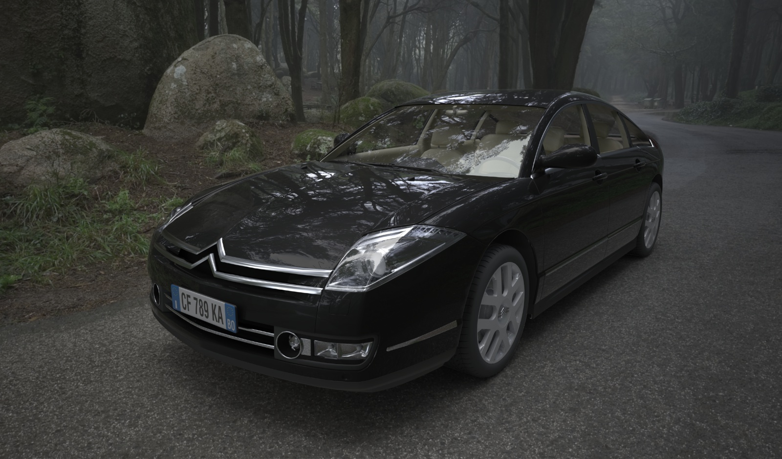 Citroen C6.jpg