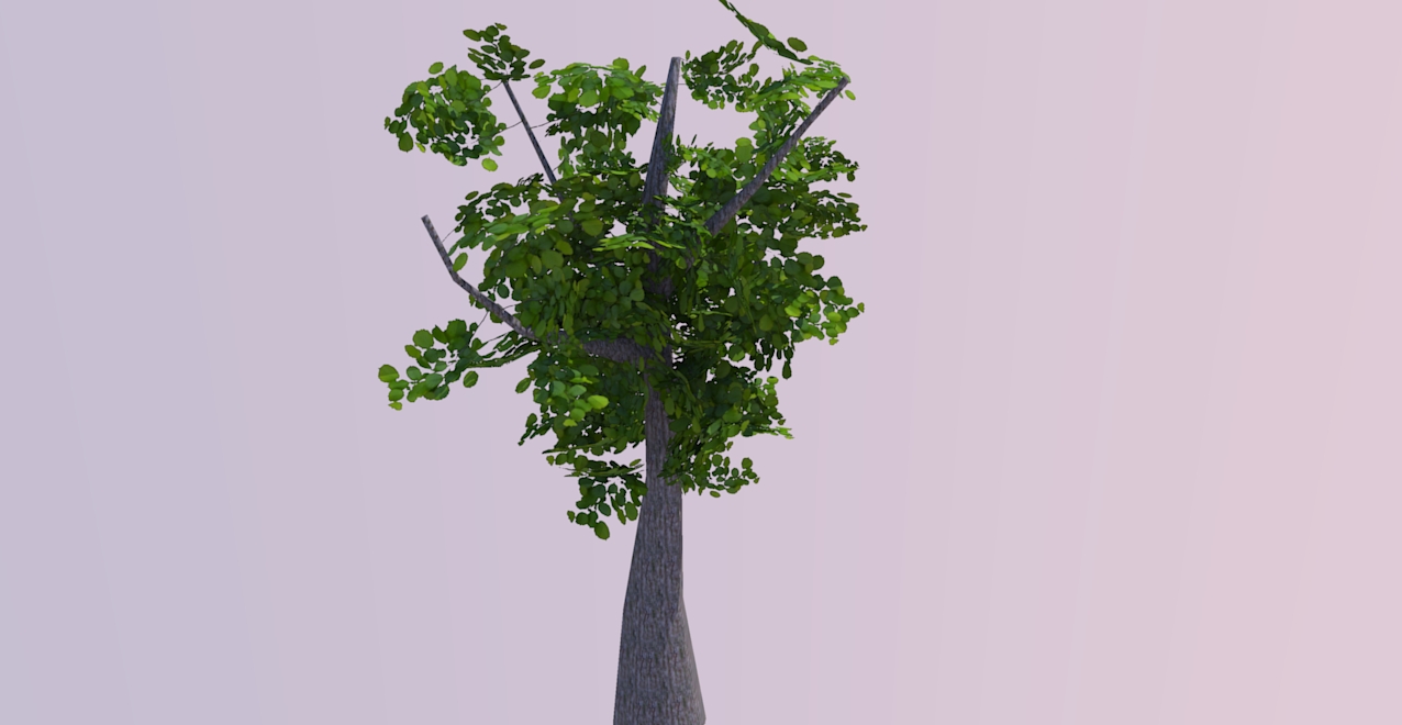 tree rendered a.jpg
