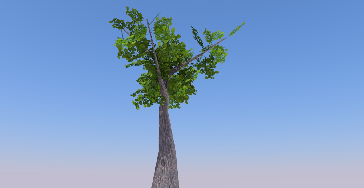 tree rendered.jpg
