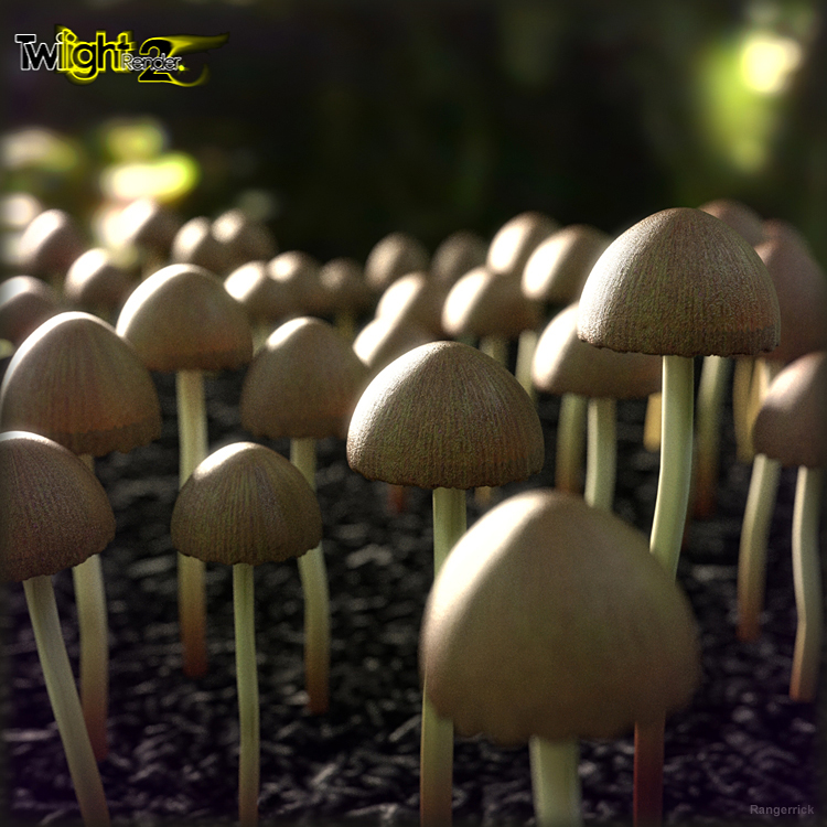 Mushroom_Twilight_750b.jpg